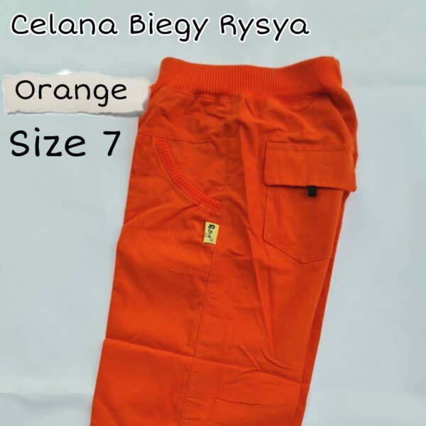 Celana Biegy Rysya