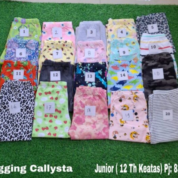 Leging Callysta ECER (Junior)