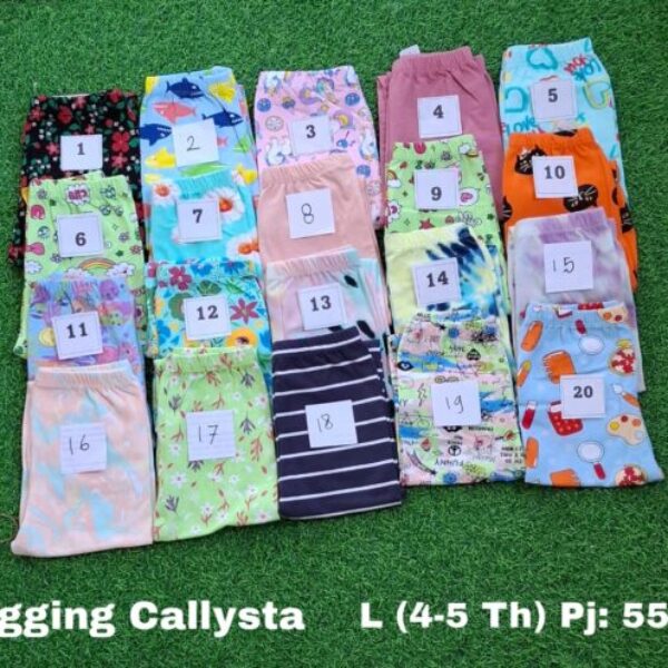 Leging Callysta ECER (L, XL)