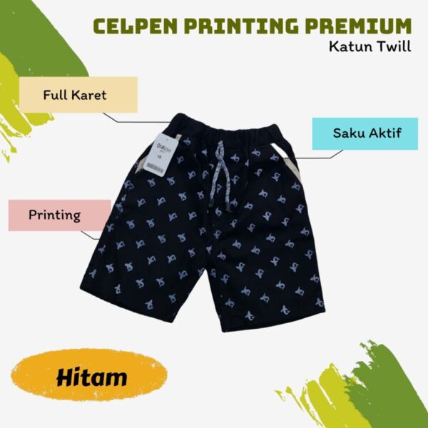 Celpen Printing Premium