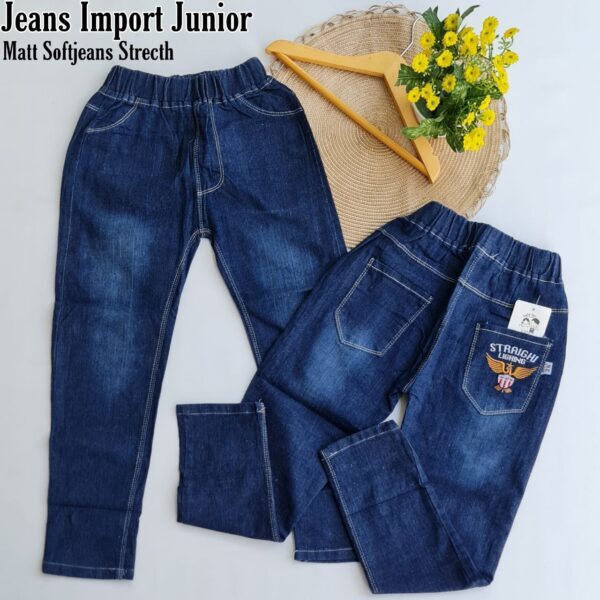 Jeans Import Remaja