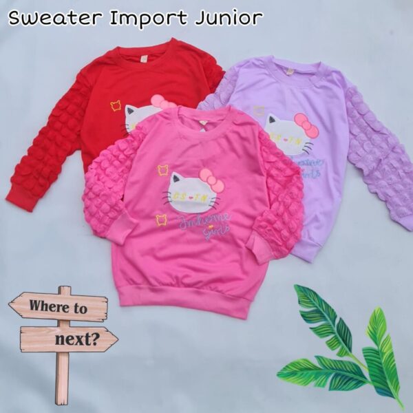 Sweater Import Junior